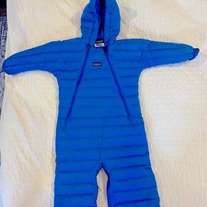 Patagonia Down Bunting